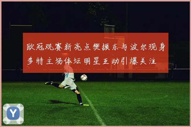 欧冠观赛新亮点樊振东与波尔现身多特主场体坛明星互动引爆关注